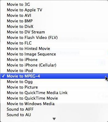 Screenshot of QuickTime Export Options List