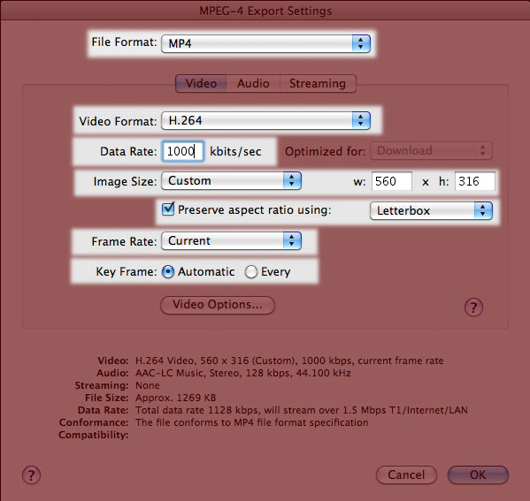 Screenshot of QuickTime MPEG-4 Video Settings