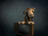 Monkey TV